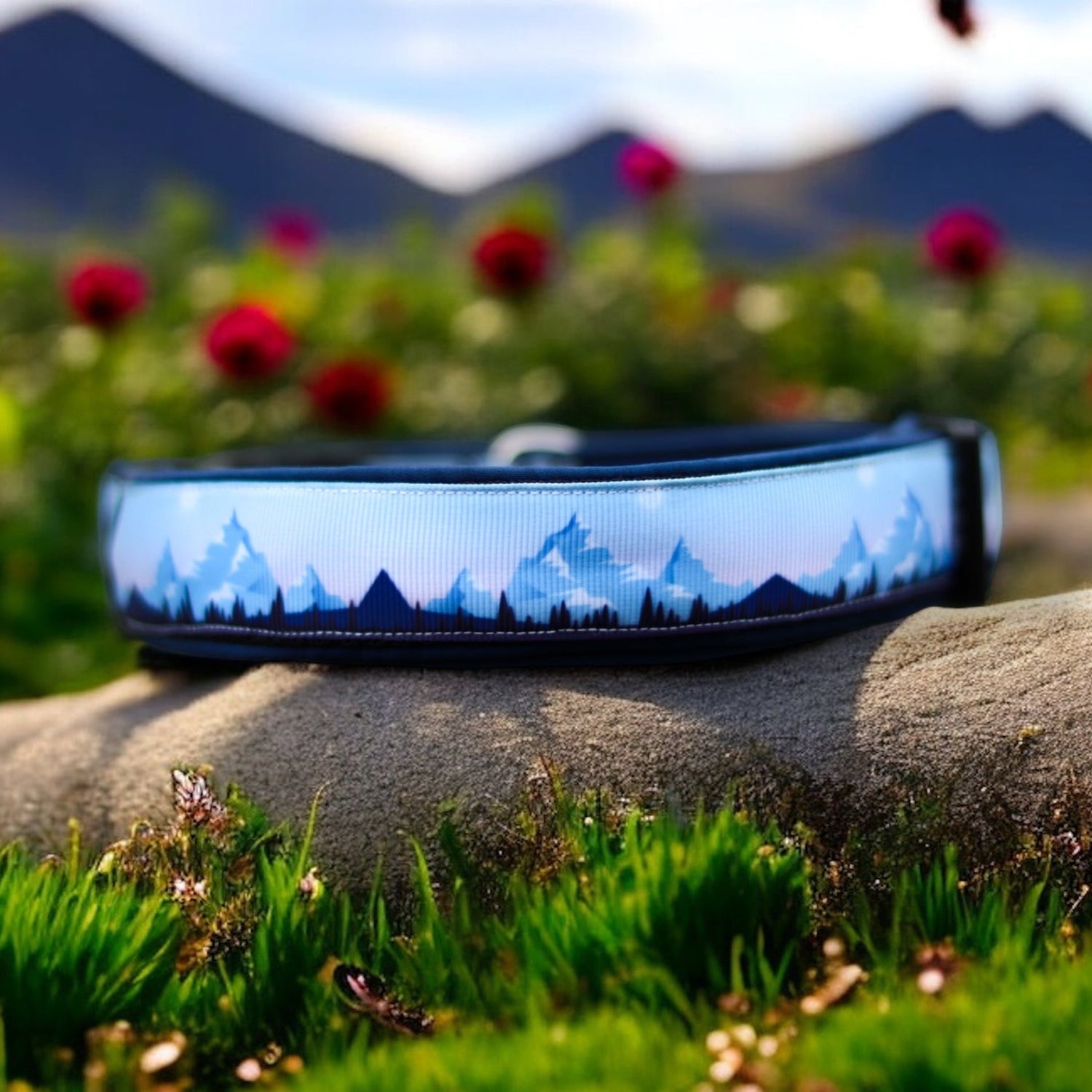COLLARS