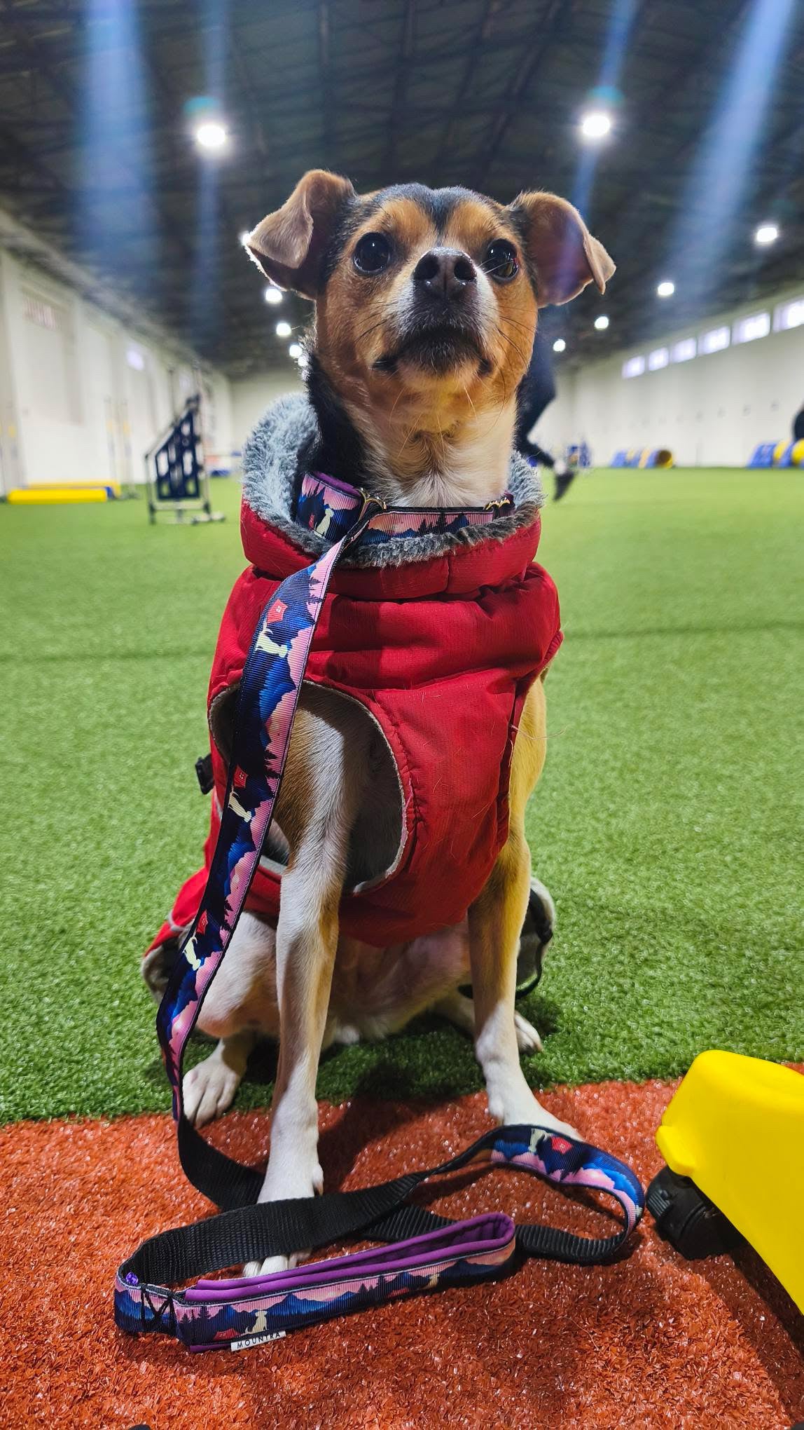 Meadly Agility Vodítko