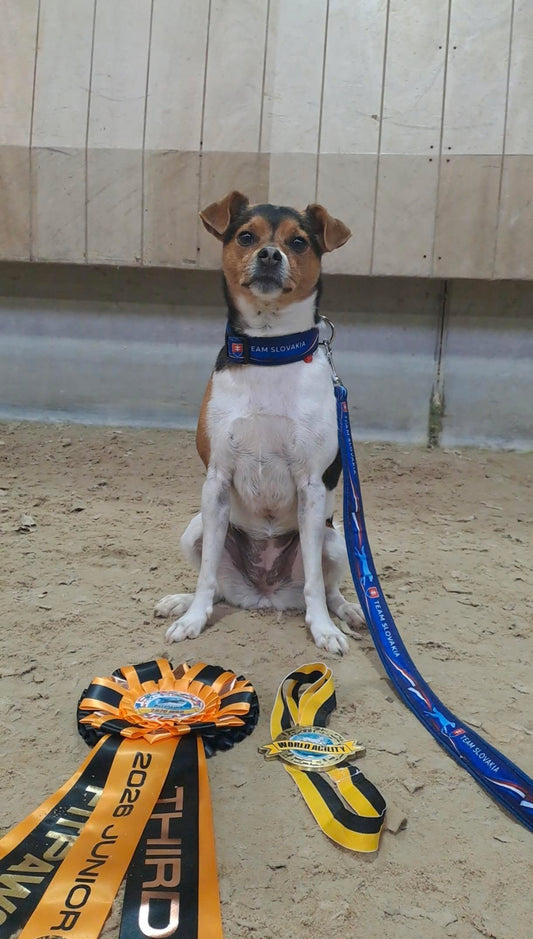 Slovakia Agility Vodítko Repre