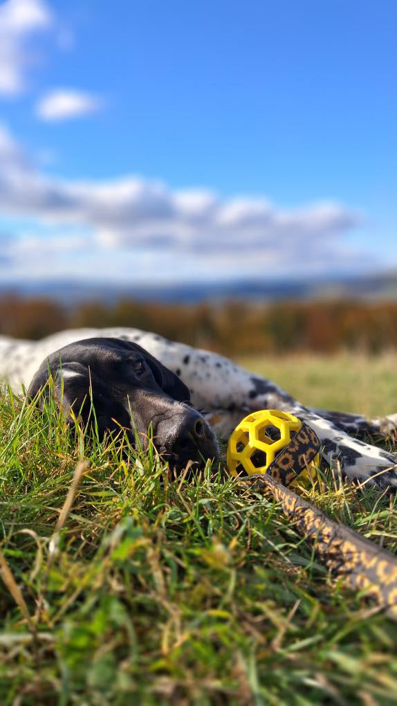 Sunflower Preťahovadlo s Loptou