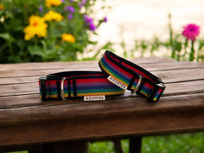 Softshell Obojok "Rainbow"