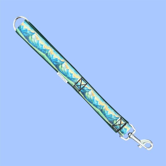 Aurora Výcvikové Vodítko 