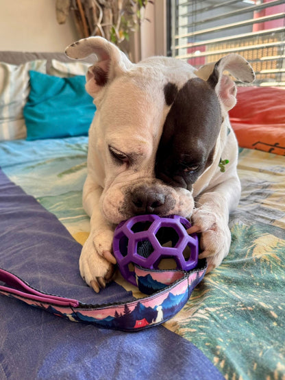 Meadly Preťahovadlo s Loptou 